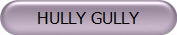 HULLY GULLY